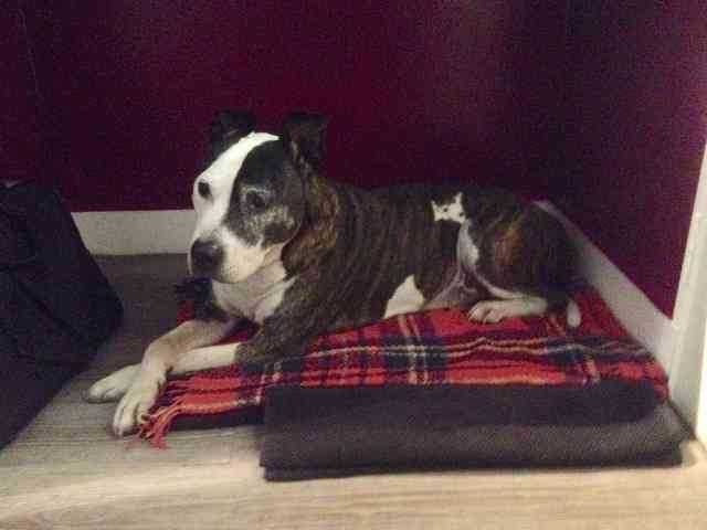 Raynor on his bed in the French hotel, on his way from S.Spain to Leicester.